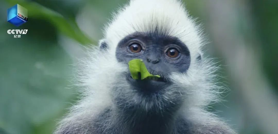 640?wx_fmt=jpeg ͼƬ