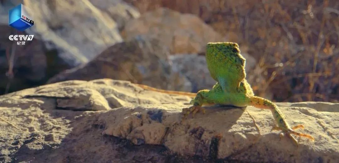 640?wx_fmt=jpeg ͼƬ