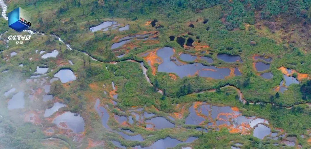 640?wx_fmt=jpeg ͼƬ