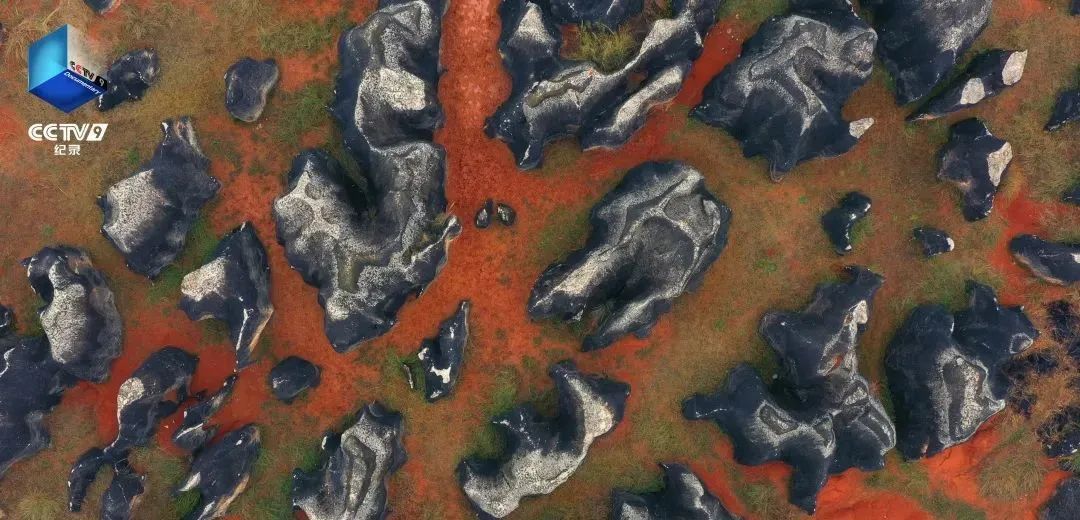 640?wx_fmt=jpeg ͼƬ