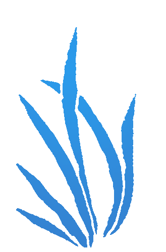 640?wx_fmt=gif 图片