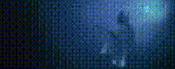 640?wx_fmt=gif 图片