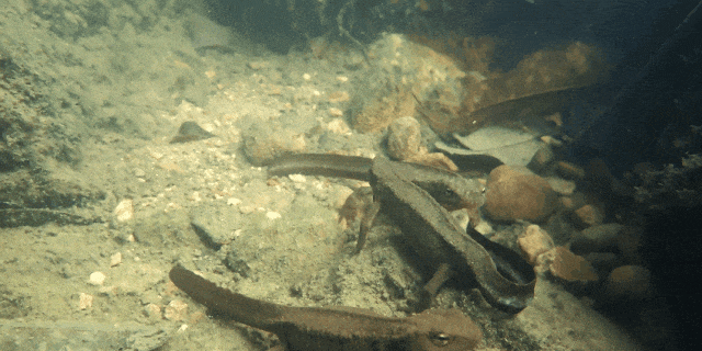 640?wx_fmt=gif&from=appmsg ͼƬ