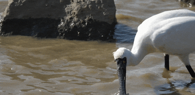 640?wx_fmt=gif&from=appmsg ͼƬ