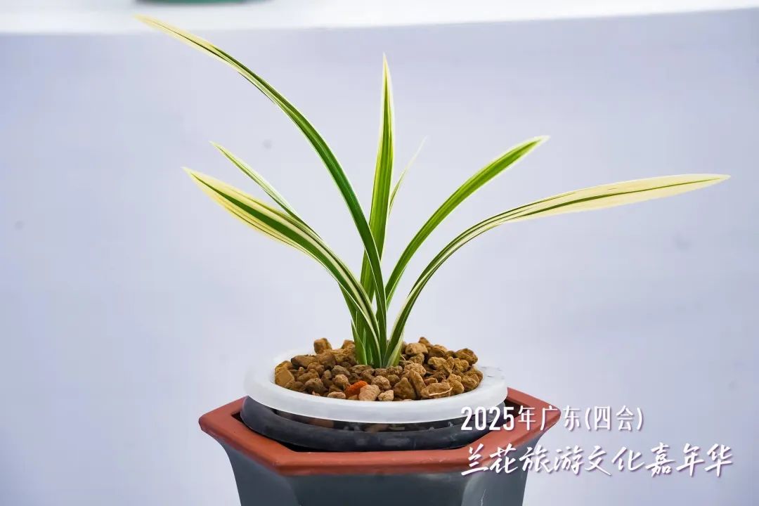 640?wx_fmt=jpeg&from=appmsg ͼƬ