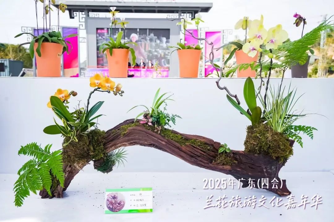 640?wx_fmt=jpeg&from=appmsg ͼƬ