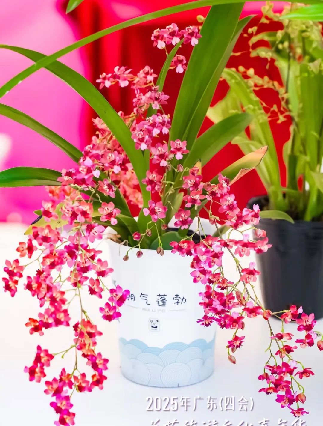 640?wx_fmt=jpeg&from=appmsg ͼƬ