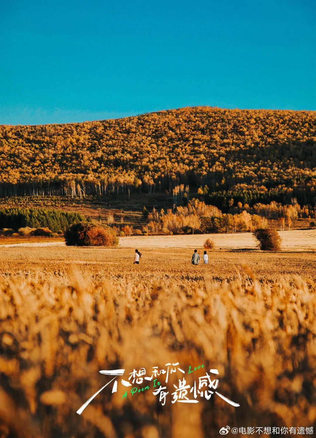 640?wx_fmt=jpeg&from=appmsg ͼƬ