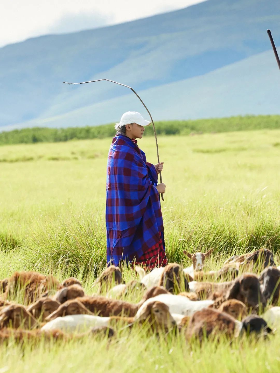 640?wx_fmt=jpeg 图片