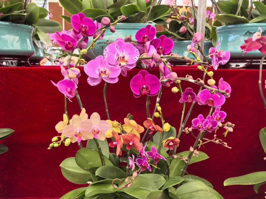 640?wx_fmt=jpeg 图片